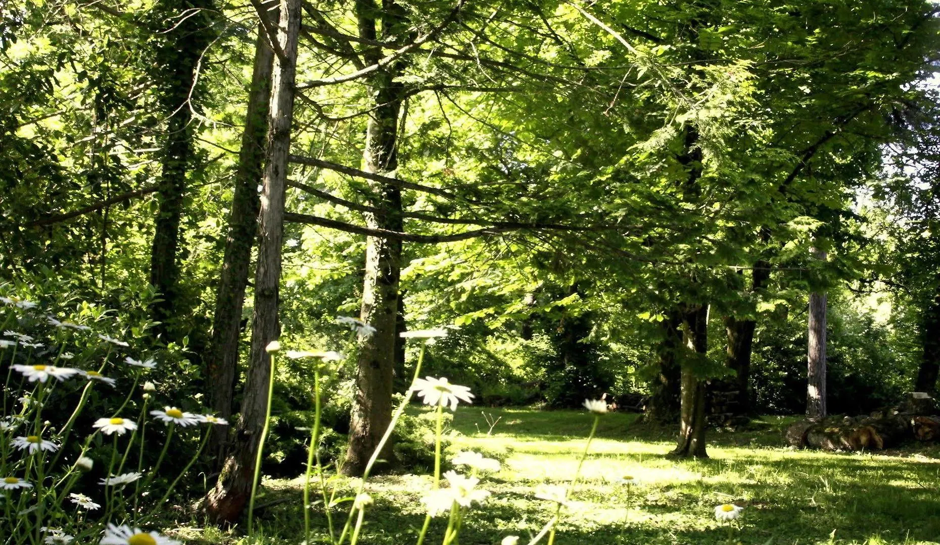 Domaine De Rasigous Panzió Saint-Affrique-les-Montagnes